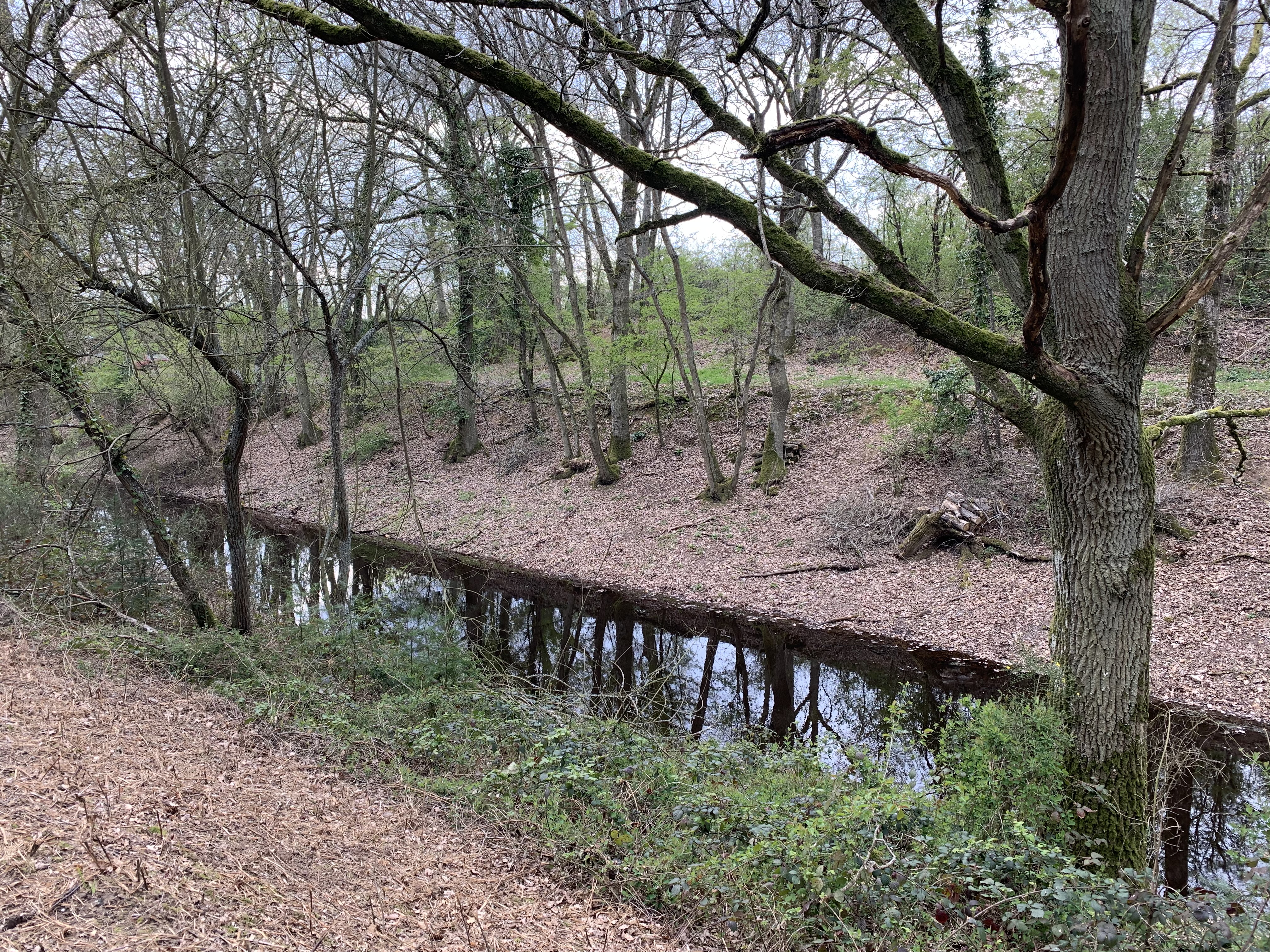 Canal Louis XIV