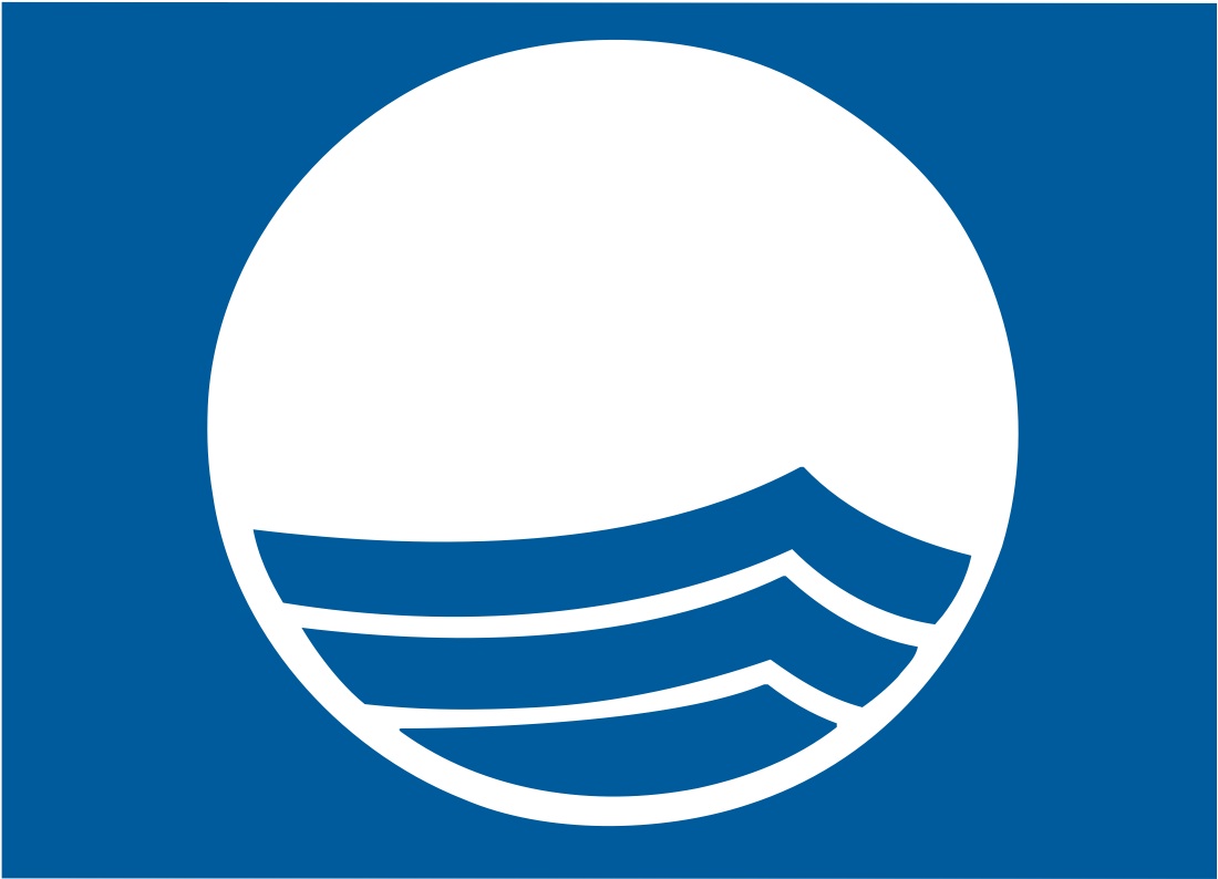 03-blue_flag_cmyk.jpg