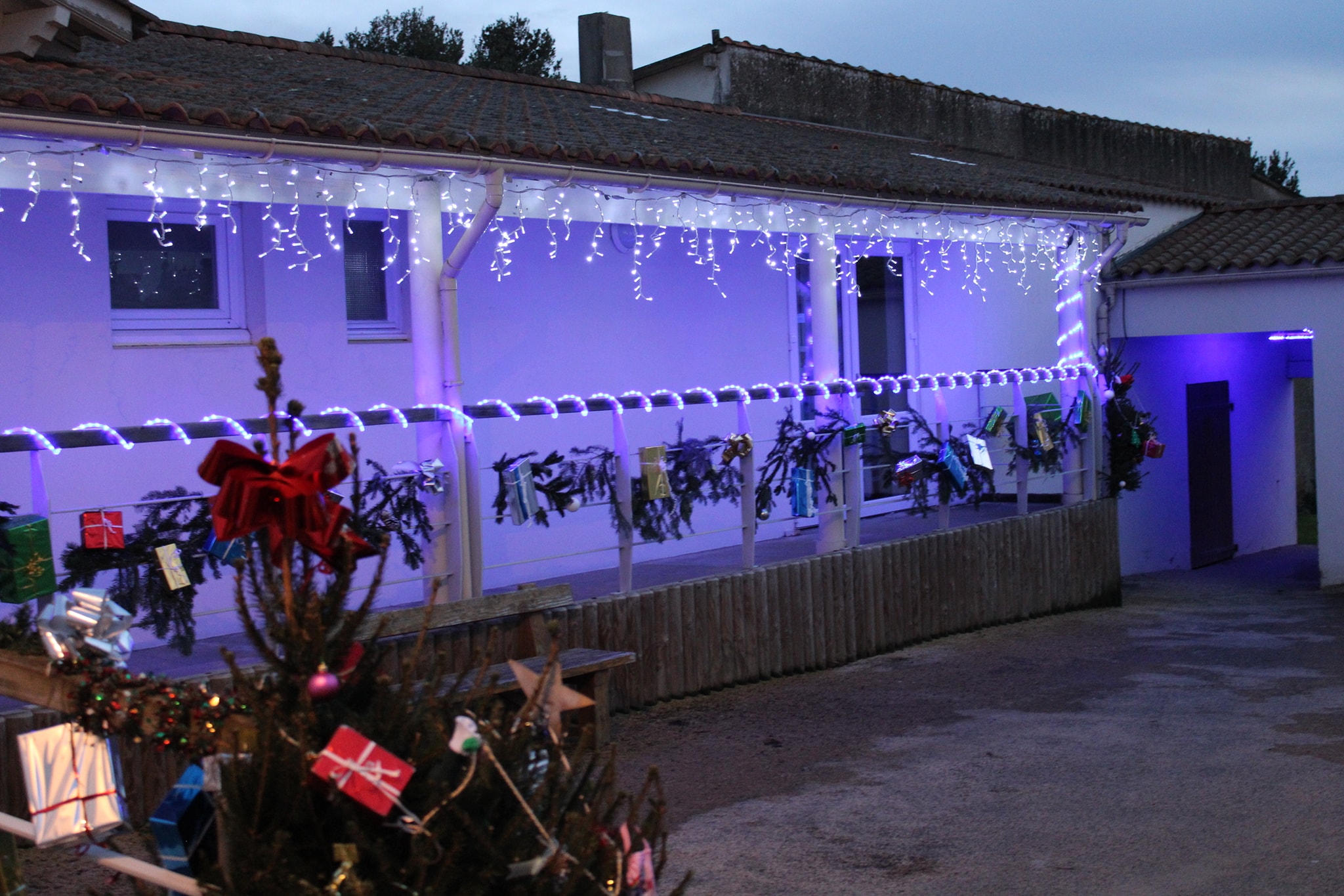 noël 204.jpg