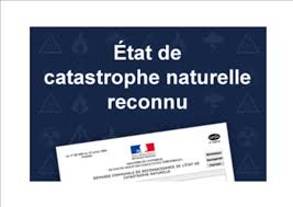 CATA NATUR.jpg
