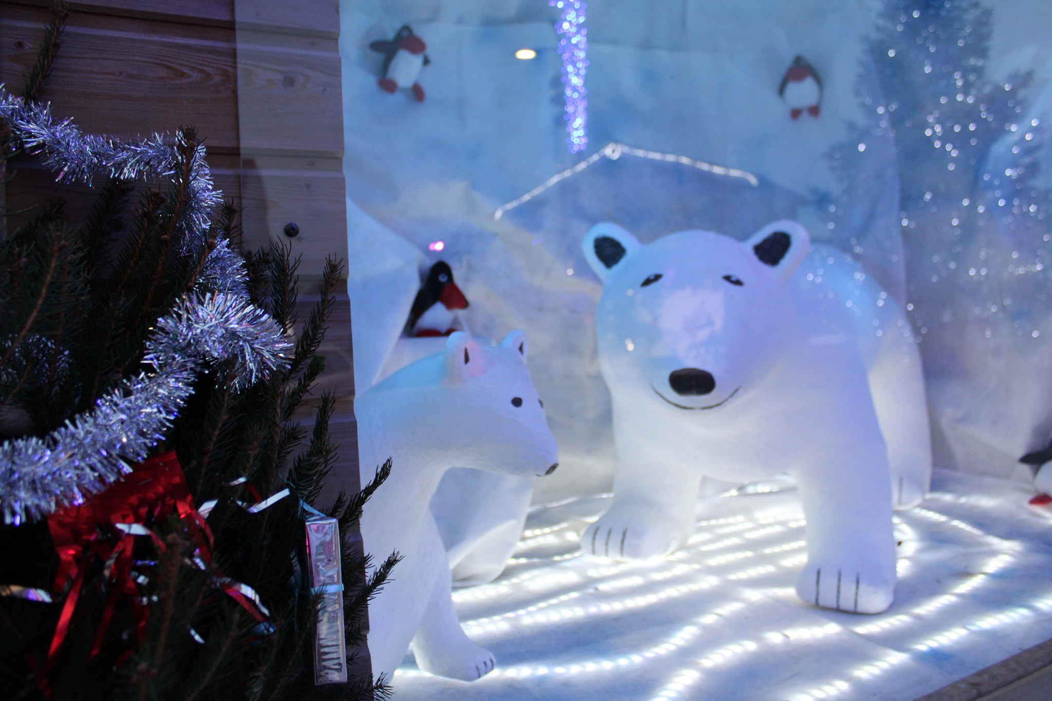noël 203.jpg