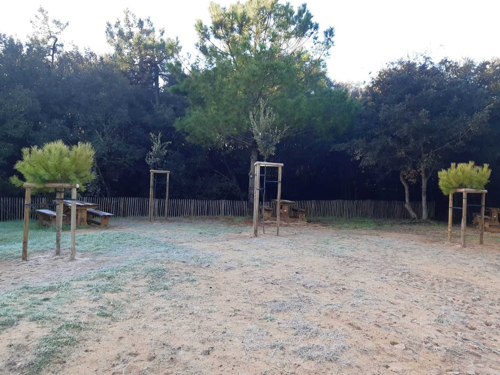 plantation1.jpg