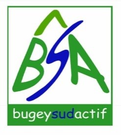 logo BSA.jpg