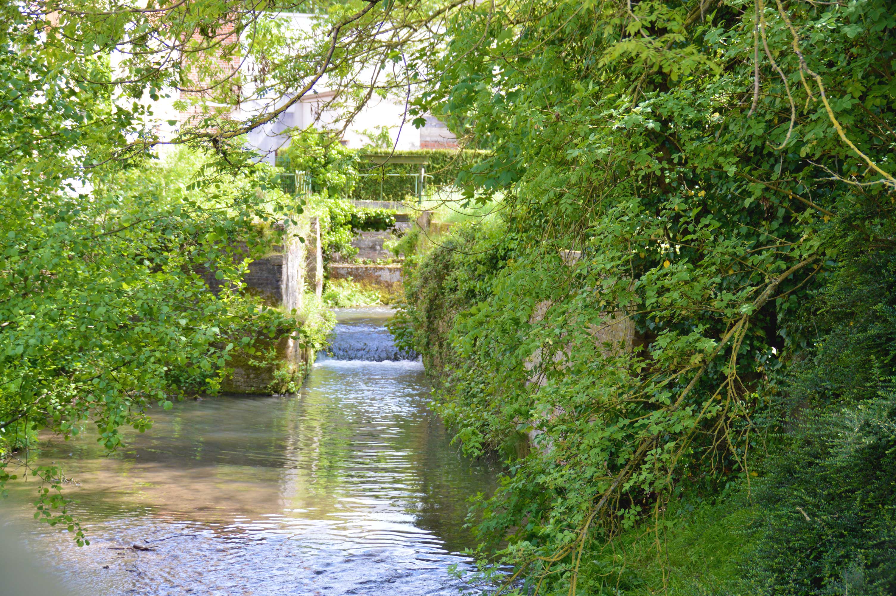 DSC_0079.jpg