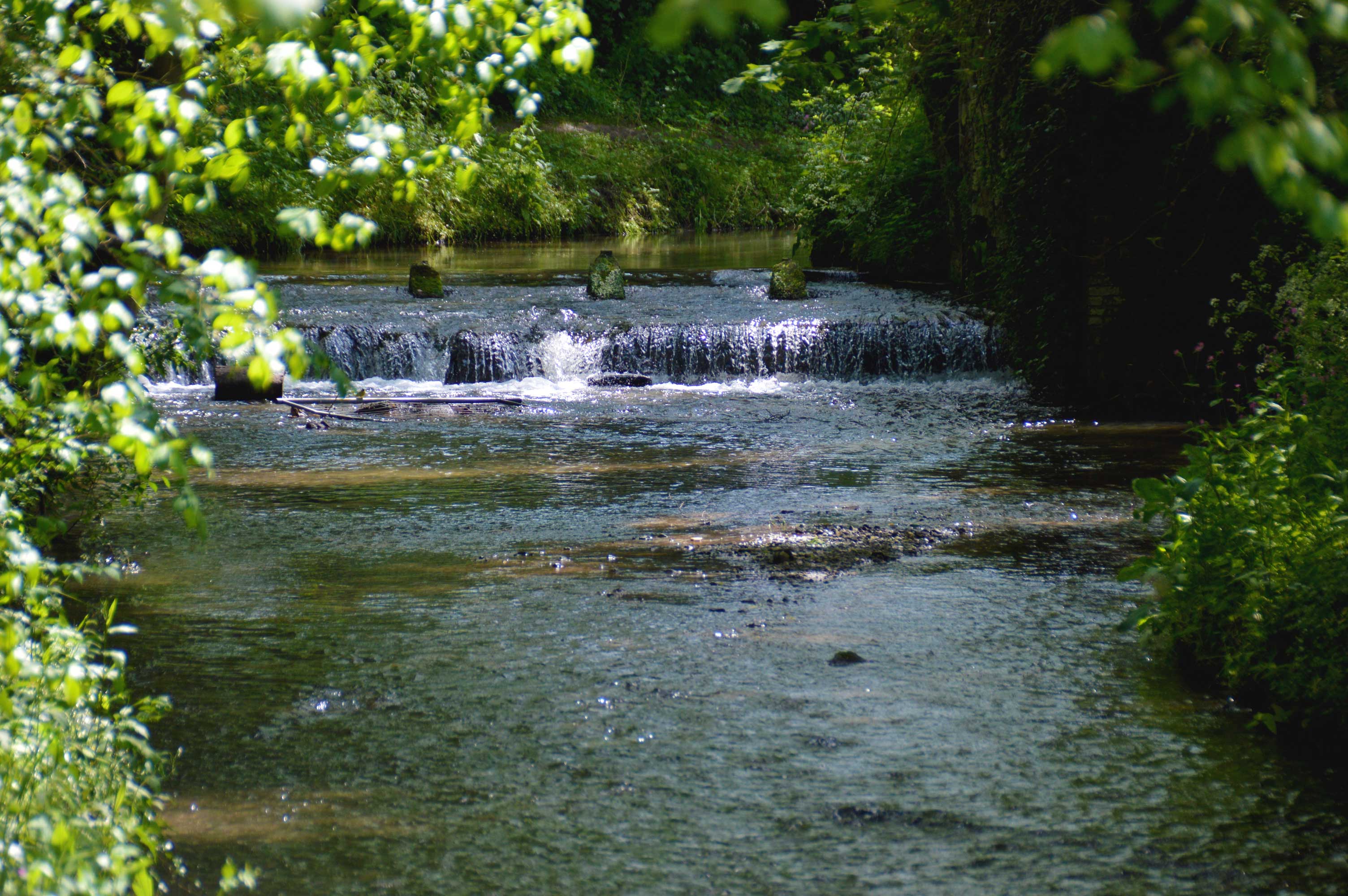 DSC_0088.jpg