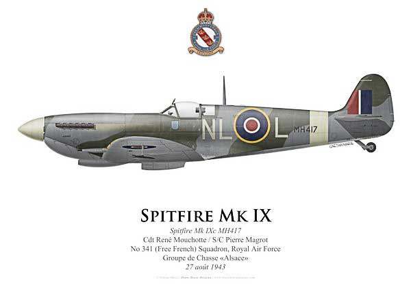 Spitfire-magrot.jpg