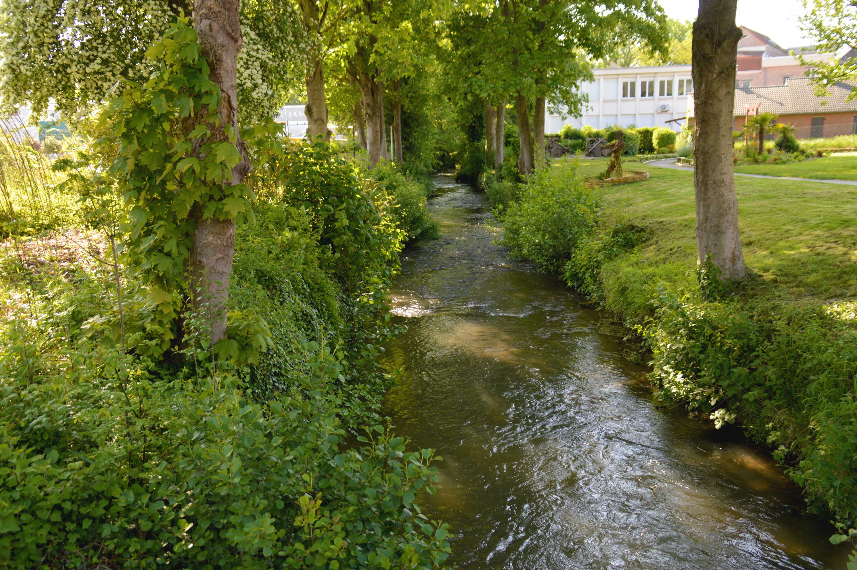 DSC_0950.jpg