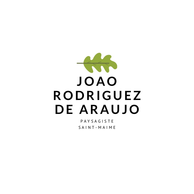 Joao rodriguez.jpg