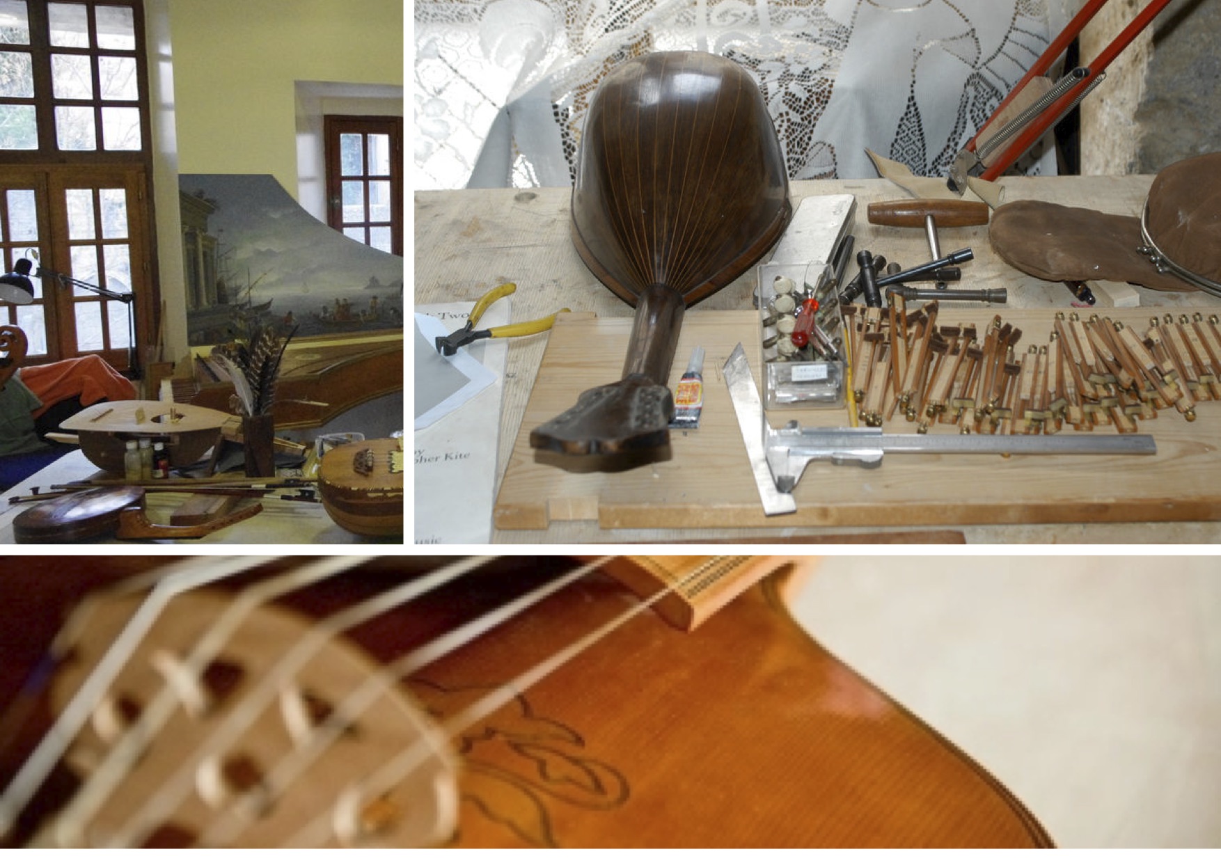 Le Pin Lyre.jpg