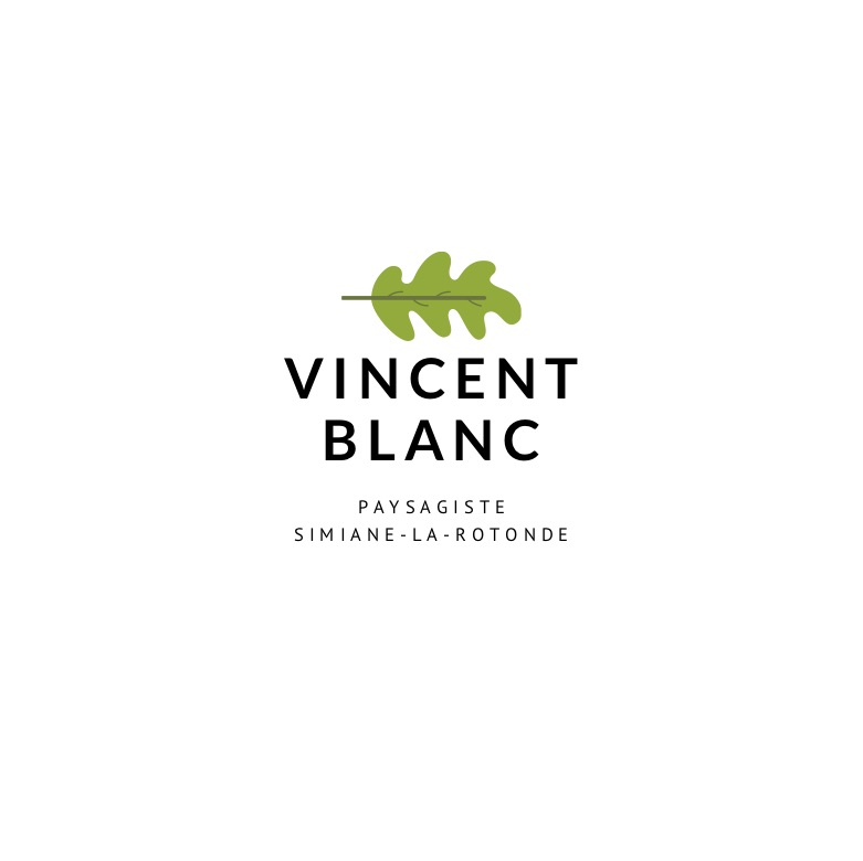 vincent blanc.jpg
