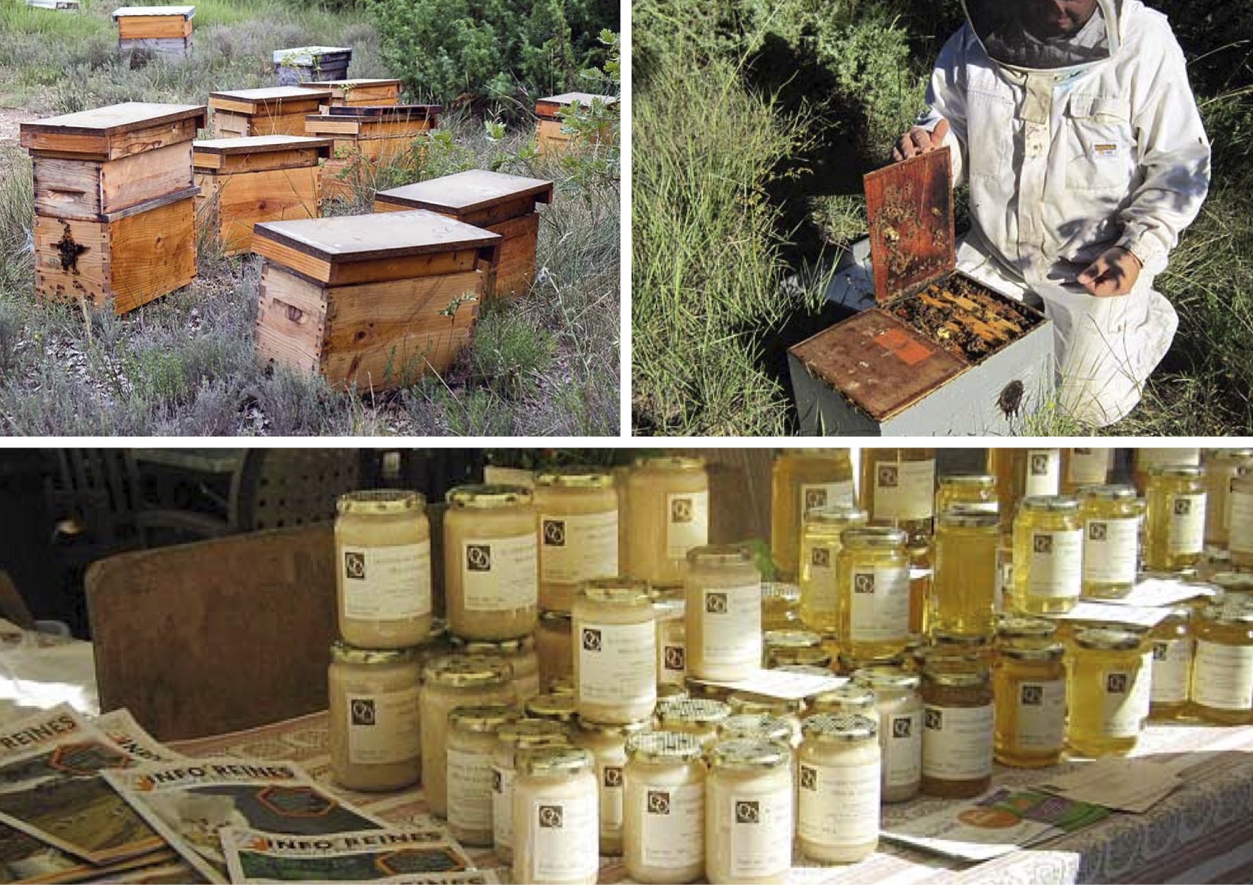 Les ruchers de bonnechere.jpg