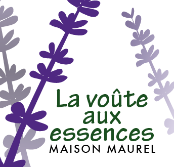 logo Maison Maurel Banon.png