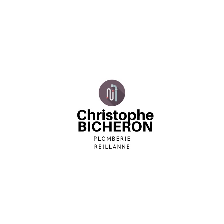 christophe bicheron.jpg