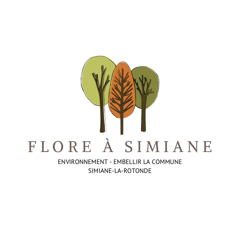 Flore à simiane.jpg