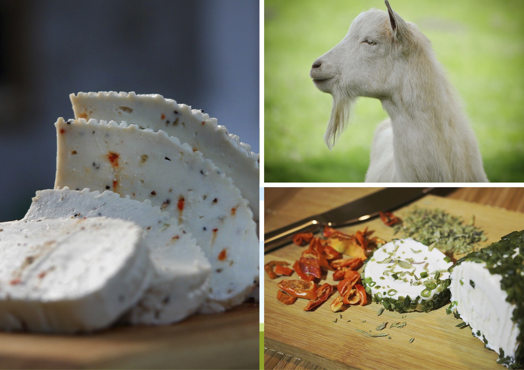 Fromagerie le petit tourtouil.jpg