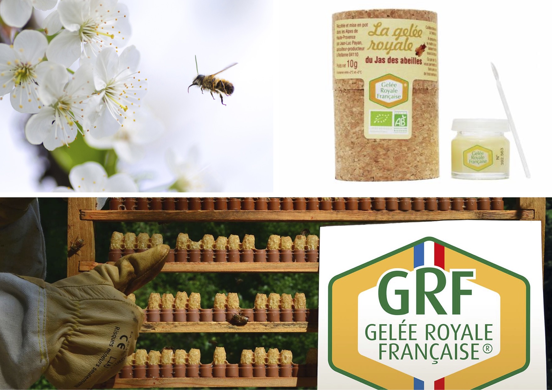 Le jas des abeilles.jpg