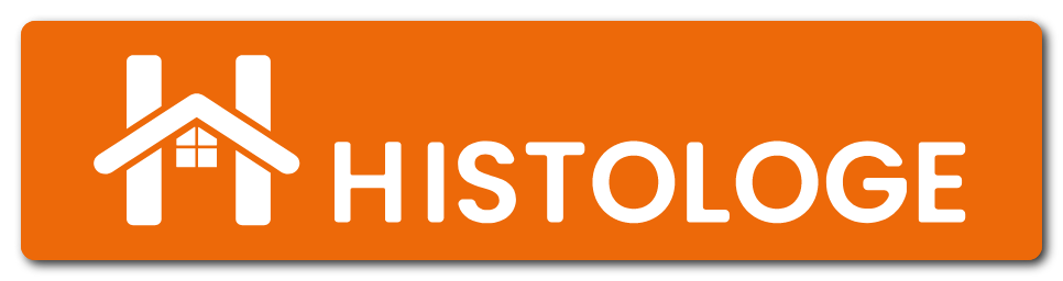 Logo Histologe Insalubrité Logement.png