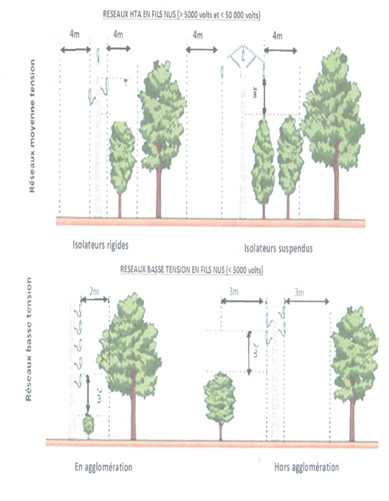 arbres et enedis 2.png