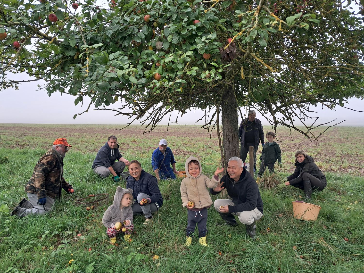 1-Ramassage des pommes.0.jpg