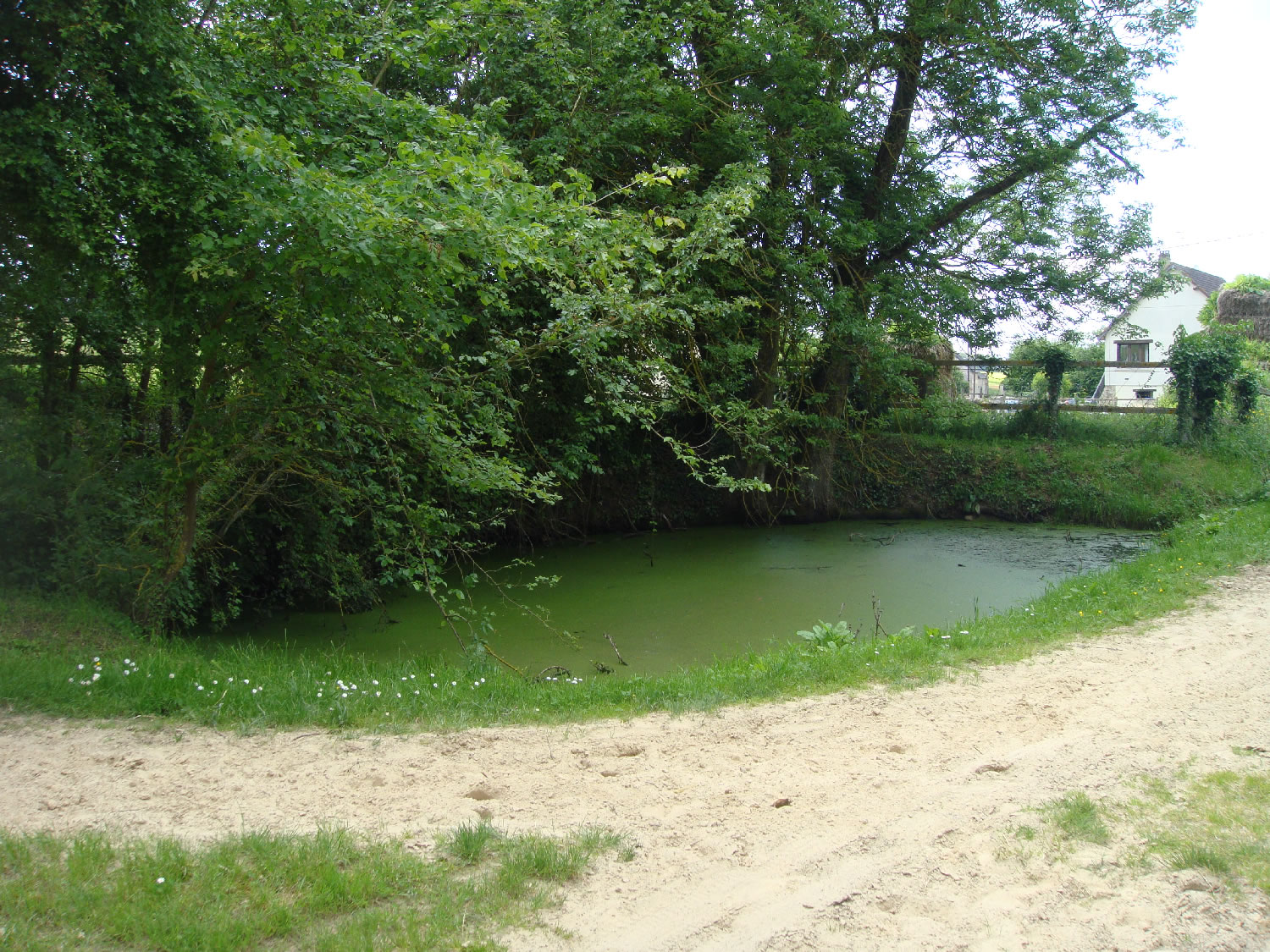 mare bizet avant.jpg