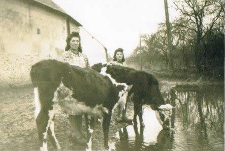 mare chenicourt.jpg