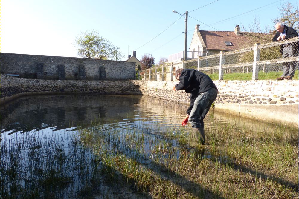 pose de pièges.jpg