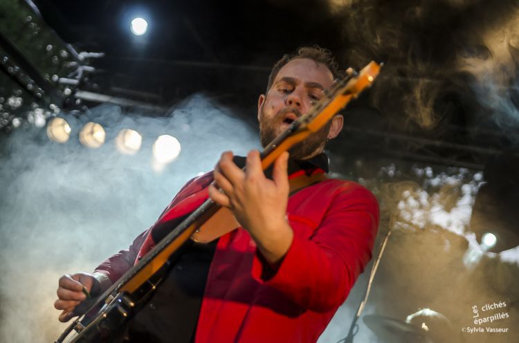 Fuzzy vox12.jpg