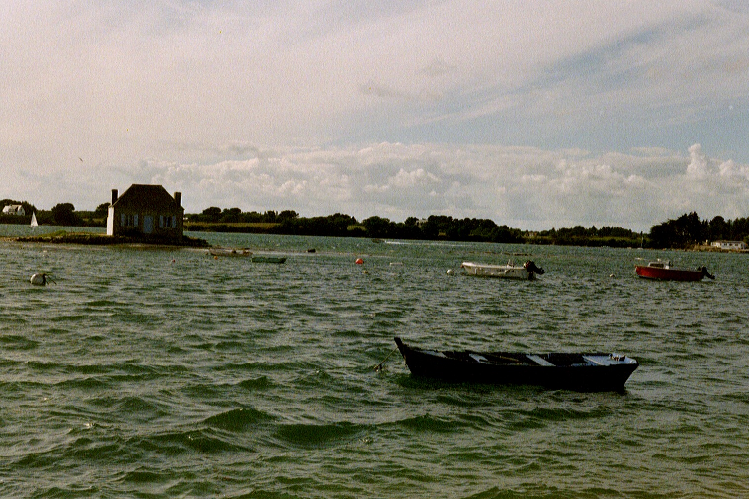 013_12.JPG