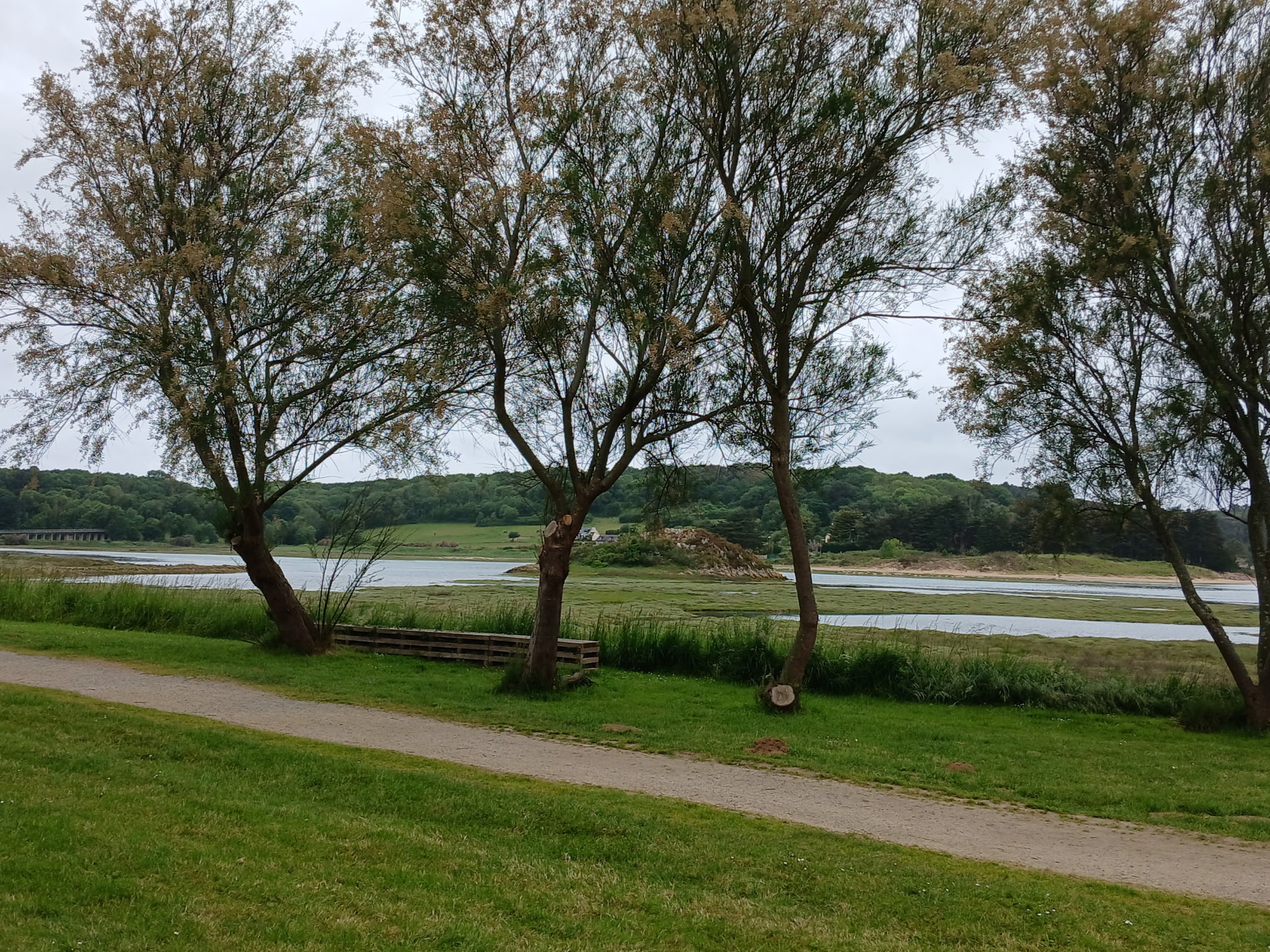 031-2026.jpg