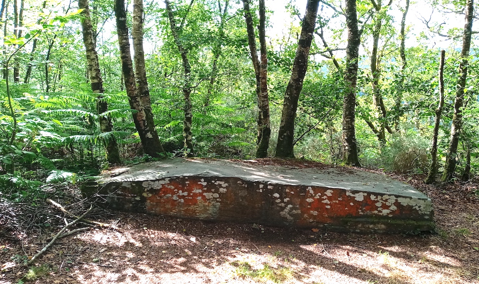 GorgesDaoulas2.jpg