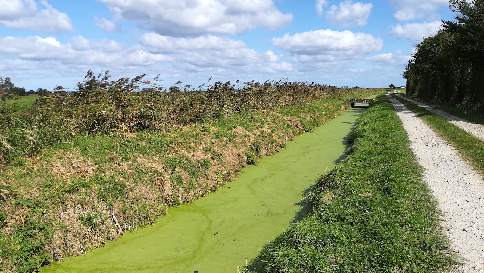 Cotentin3.jpg