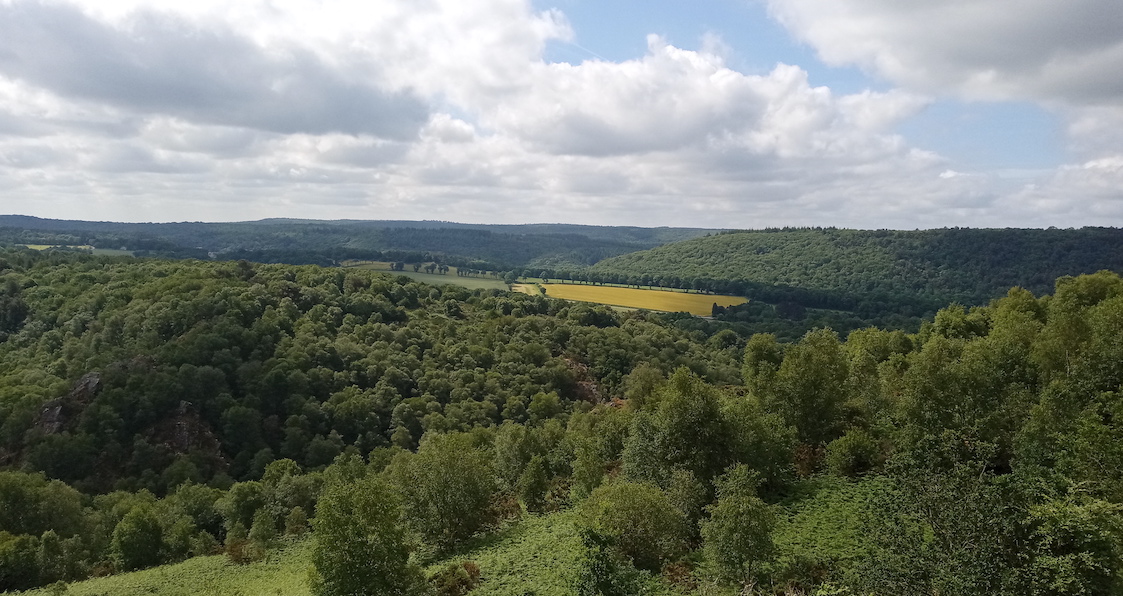 GorgesDaoulas11.jpg