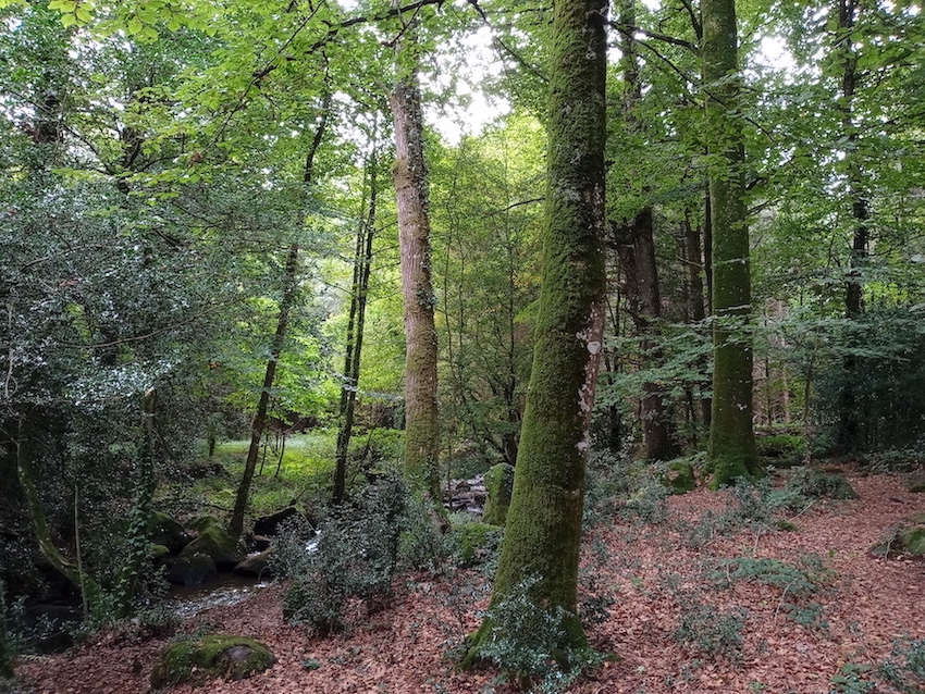 Langourla6.jpg