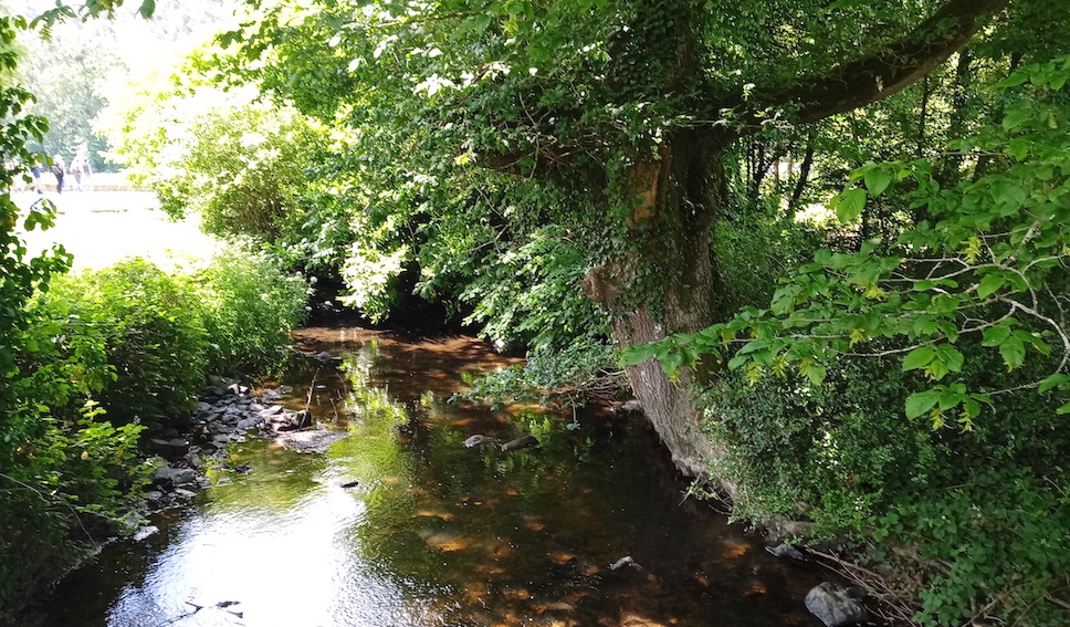 GorgesDaoulas14.jpg