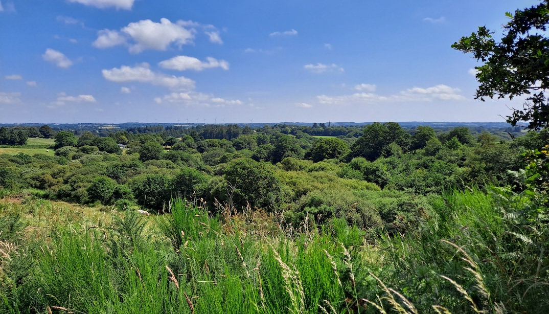 3Paysage.jpg