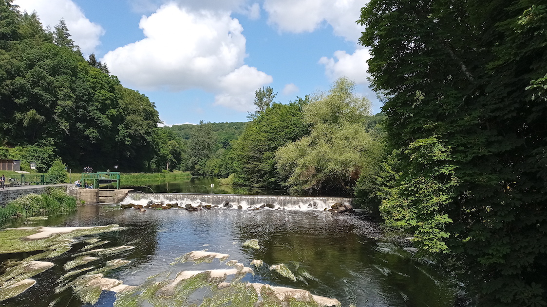 GorgesDaoulas15.jpg