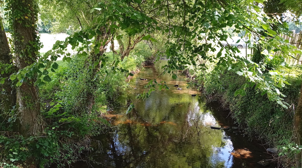 GorgesDaoulas13.jpg