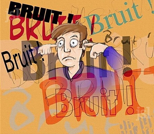 bruit.jpg