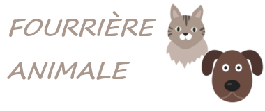 fourriere_animaux.png