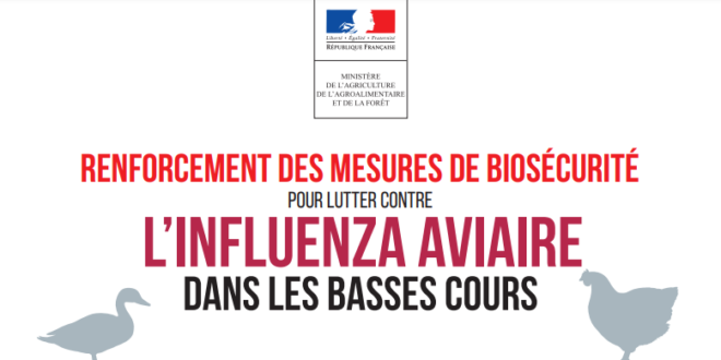 Grippe_aviaire_influenza.png