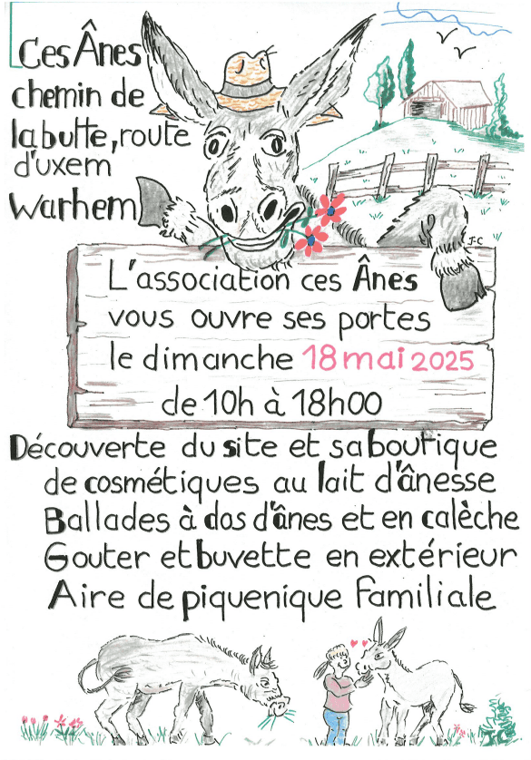 affiche ces anes.png