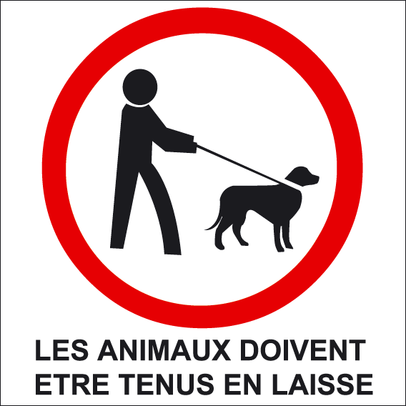 Animaux_en_laisse.gif