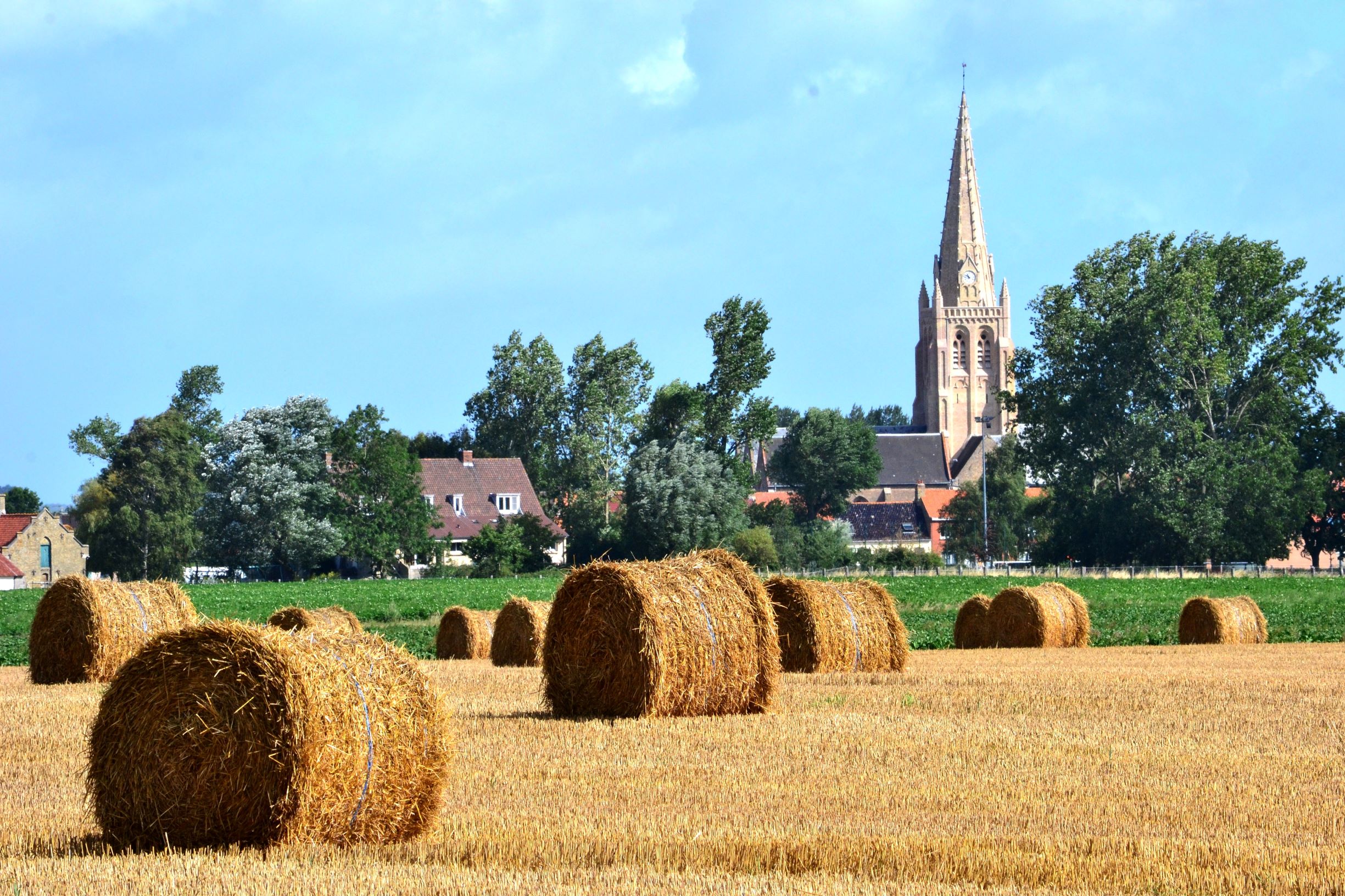 Warhem_Paille.jpg