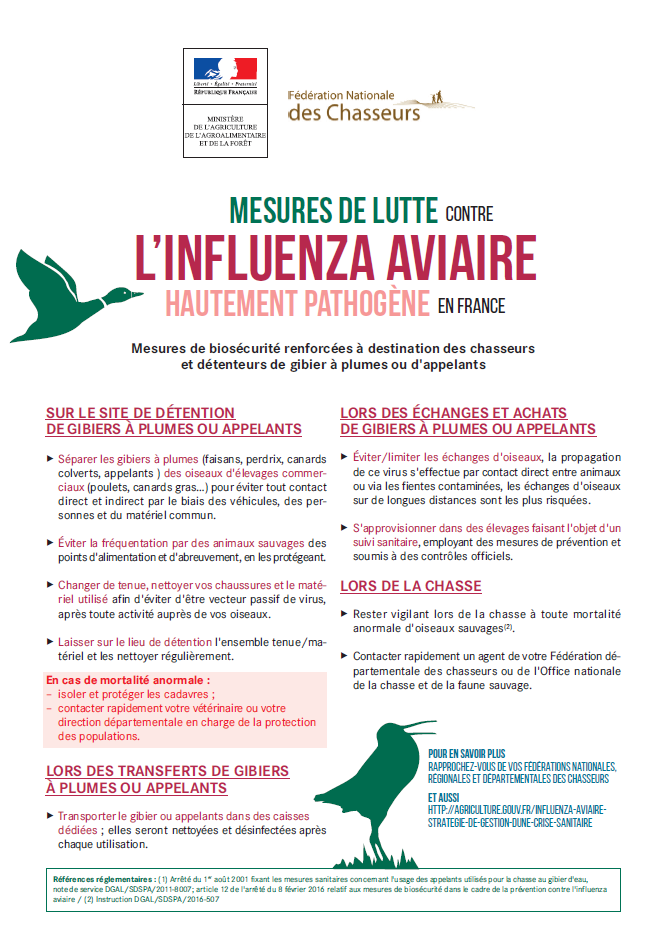 Capture d_écran 2025-12-30 120733.png