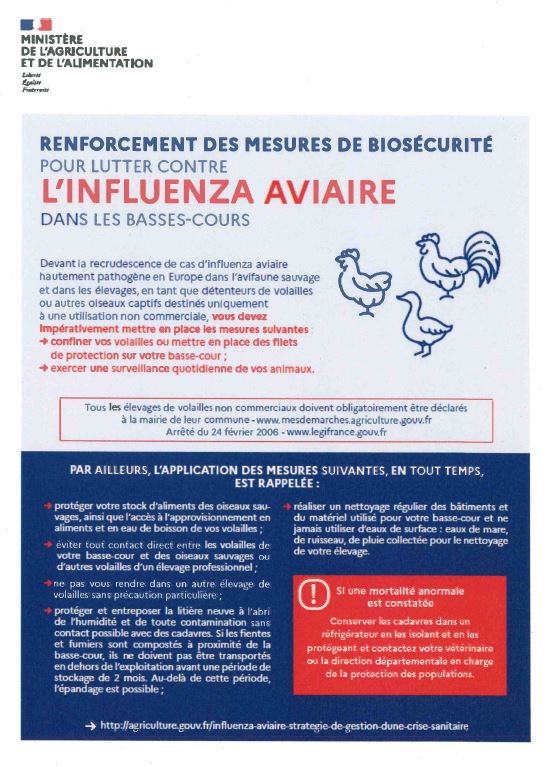 affiche grippe aviaire.JPG