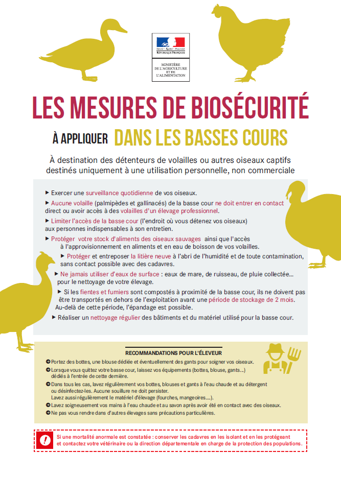 Capture d_écran 2025-12-30 120827.png