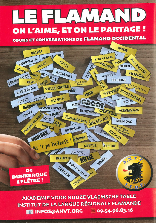 COURS DE FLAMAND P1.png
