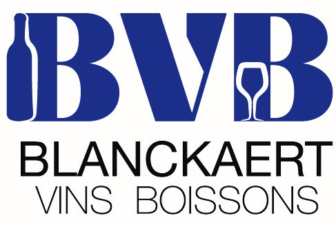 Logo_BVB.jpg