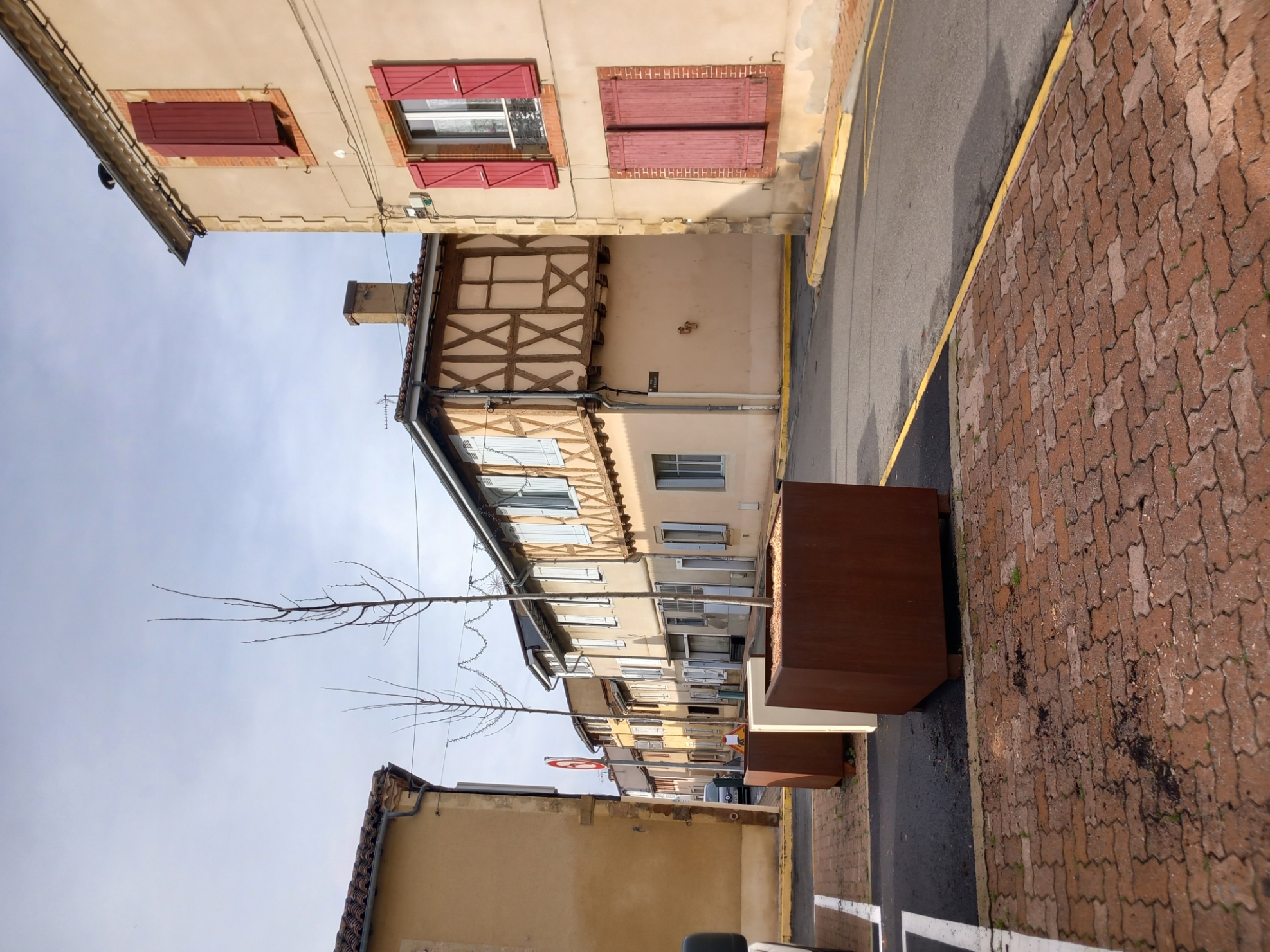 Arbres Conteners Place A Perez.jpg