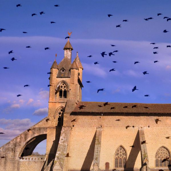 Eglise Sainte Marie